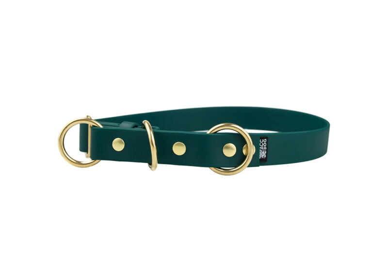 obroza-polzaciskowa-forest-mosiezne-biothane-accdog