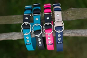 Obroża z Biothane® półzaciskowa Rainbow