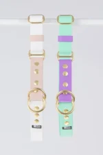 obroza-polzaciskowa-rainbow-white-beige-soft-mint-lilac-mosiezne-biothane-accdog-750