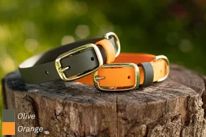 Obroża Biothane® Rainbow