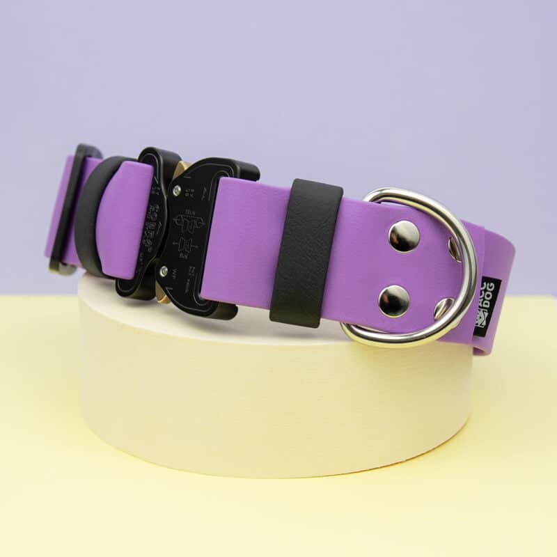 obroza-38mm-cobra-lilac-black-nierdzewne-biothane-accdog