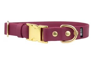 obroza-metalowa-klamra-zatrzaskowa-elegant-mosiezna-biothane-accdog