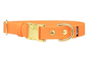 obroza-metalowa-klamra-zatrzaskowa-neon-orange-mosiezna-biothane-accdog