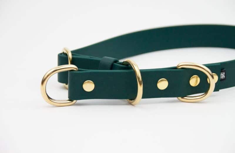 obroza-polzaciskowa-forest-okucia-mosiezne