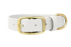 obroza-na-dziurki-metalowa-klamra-dog-collars-biothane-wodoodporna-white-biala-mosiezna-accdog-750