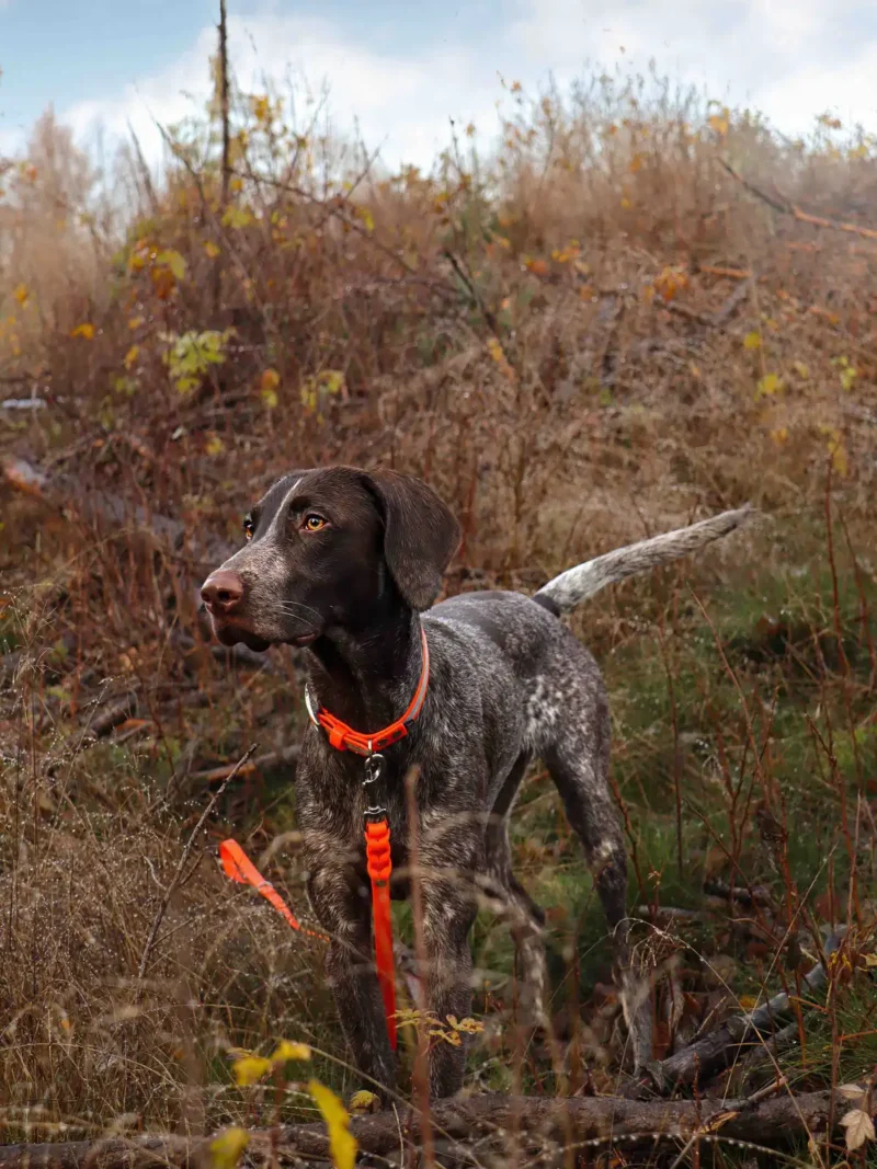 odblaskowa-neon-orange