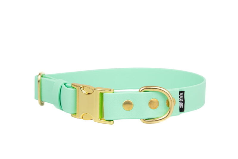 obroza-klamra-metalowa-zatrzaskowa-zlota-soft-mint-mosiezne-biothane-accdog