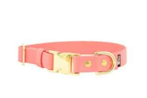 obroza-metalowa-klamra-zatrzaskowa-zlota-peach-biothane-accdog