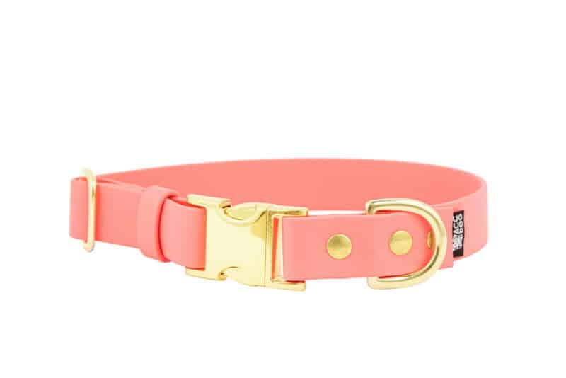 obroza-metalowa-klamra-zatrzaskowa-zlota-peach-biothane-accdog