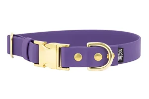 obroza-metalowa-klamra-zatrzaskowa-zlota-violet-biothane-accdog