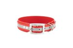 obroza-reflective-greyhound-stal-nierdzewna-classic-red-biothane-accdog-2