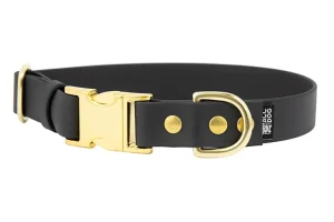 obroza-metalowa-klamra-zatrzaskowa-zlota-black-biothane-accdog