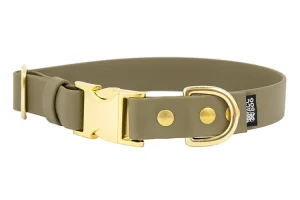 obroza-metalowa-klamra-zatrzaskowa-zlota-olive-biothane-accdog