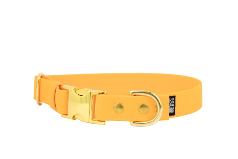 obroza-metalowa-klamra-zatrzaskowa-zlota-orange-biothane-accdog