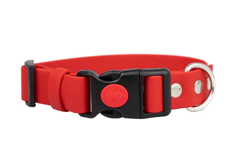 obroza-klamra-safety-click-classic-red-stal-nierdzewna-biothane-accdog