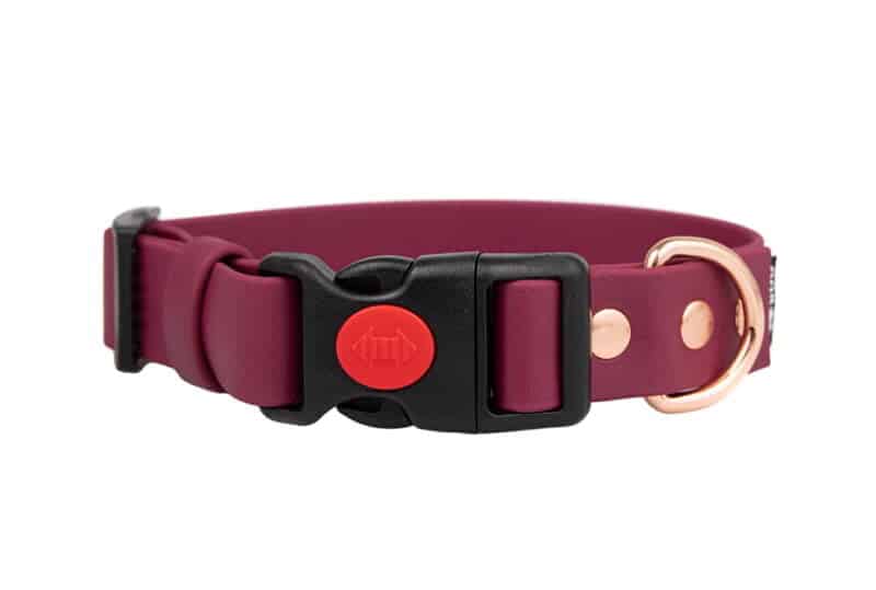 obroza-klamra-safety-click-elegant-rozowe-zloto-biothane-accdog