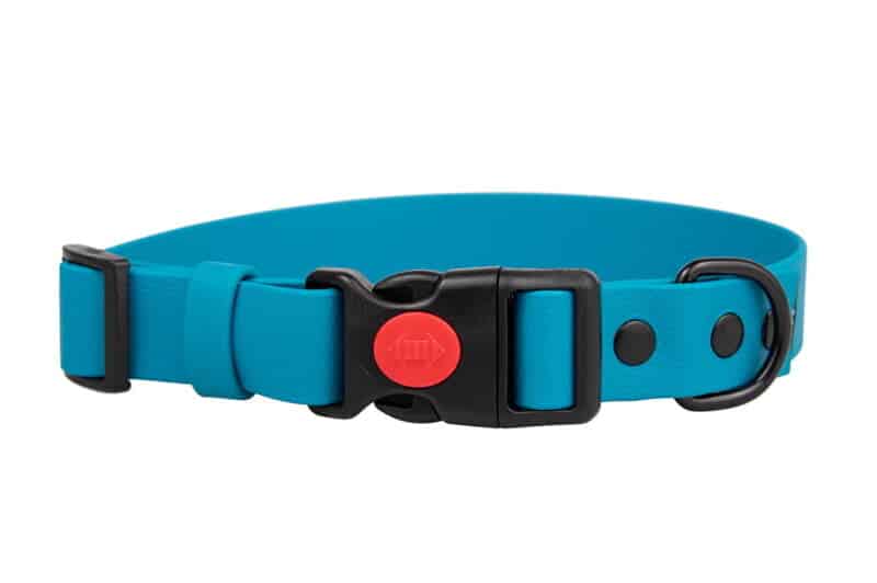 obroza-klamra-safety-click-lagune-czarne-biothane-accdog