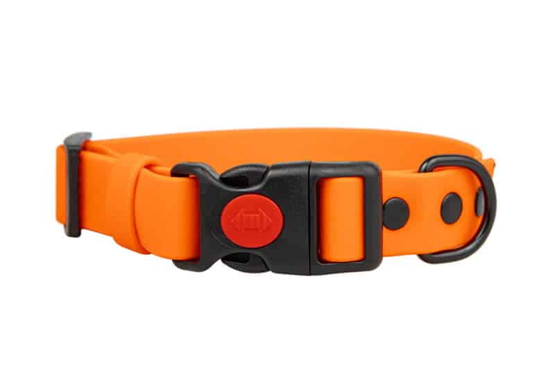 obroza-klamra-safety-click-neon-orange-czarne-malowane-biothane-accdog