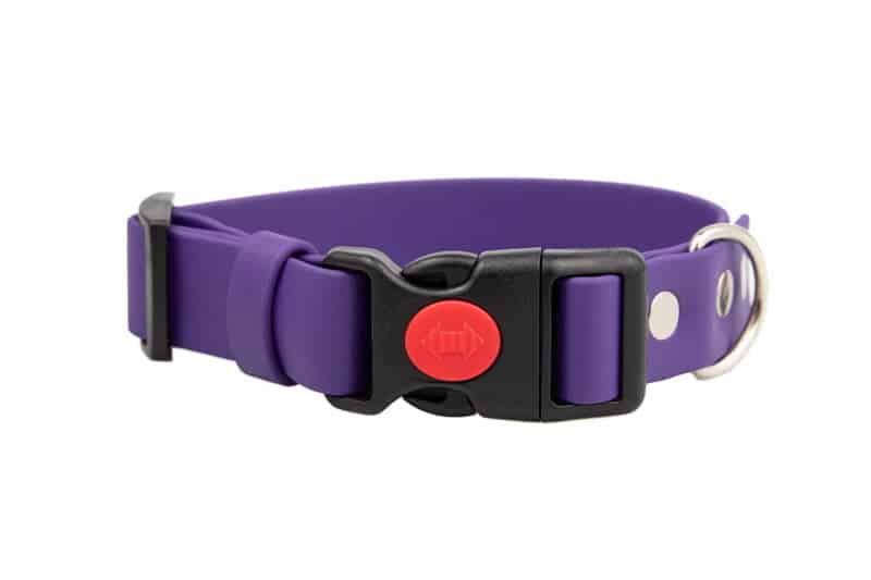 obroza-klamra-safety-click-violet-srebrne-biothane-accdog