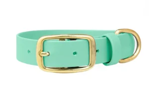 obroza-na-dziurki-metalowa-klamra-dog-collars-biothane-wodoodporna-soft-mint-mientowa-mosiezna-accdog-750