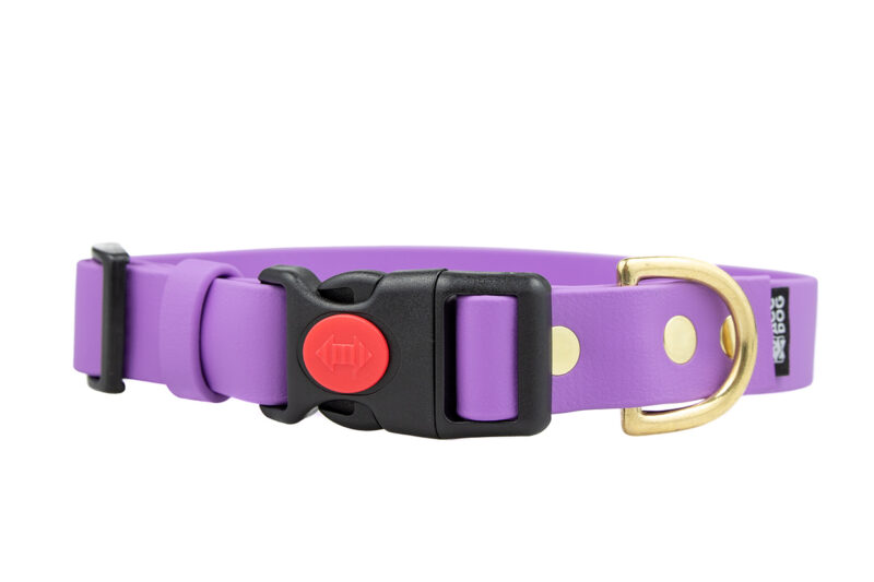 obroza-safty-click-lilac-mosiezne-biorhane-accdog