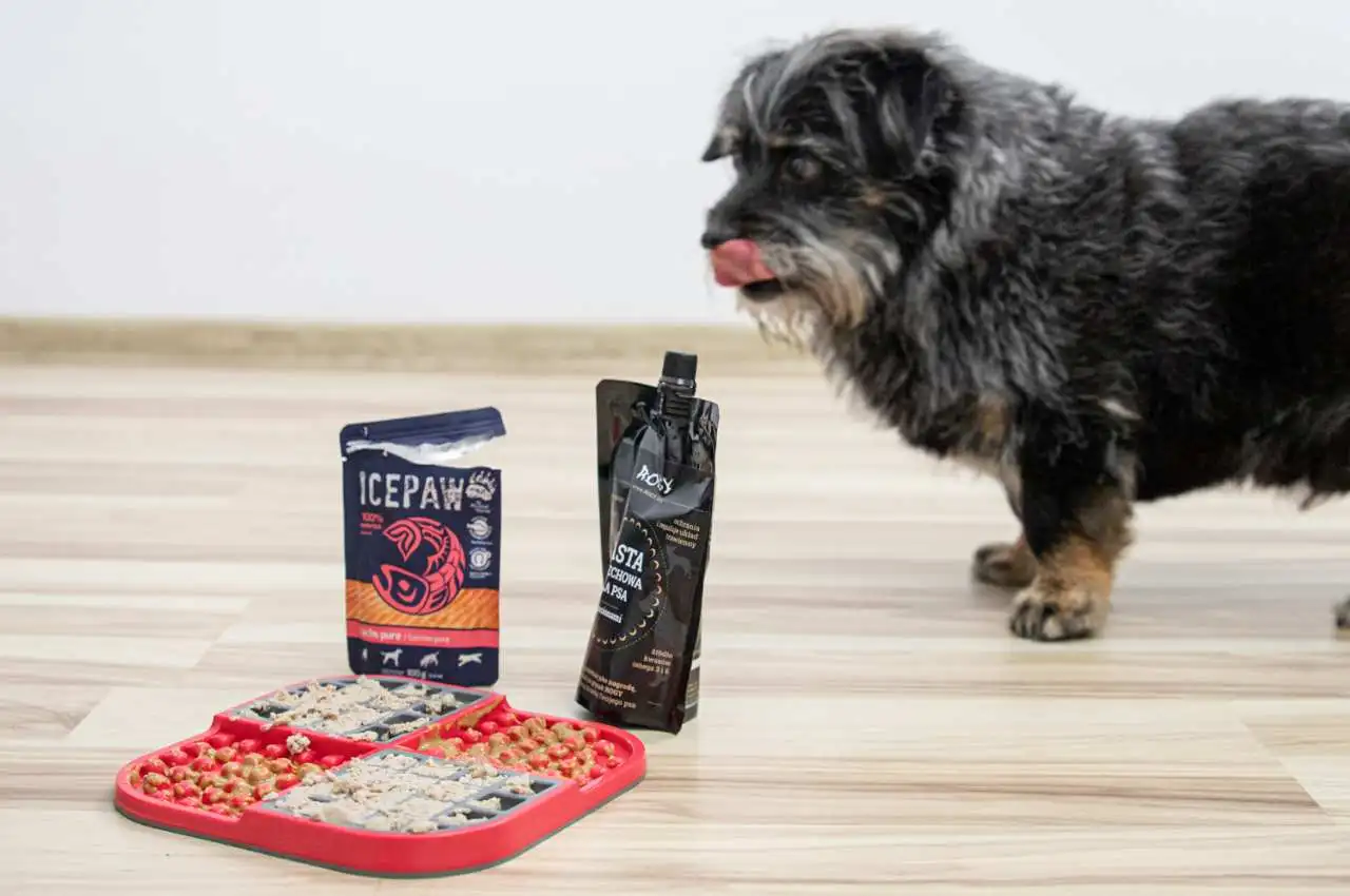 mata-do-lizania-dla-psa