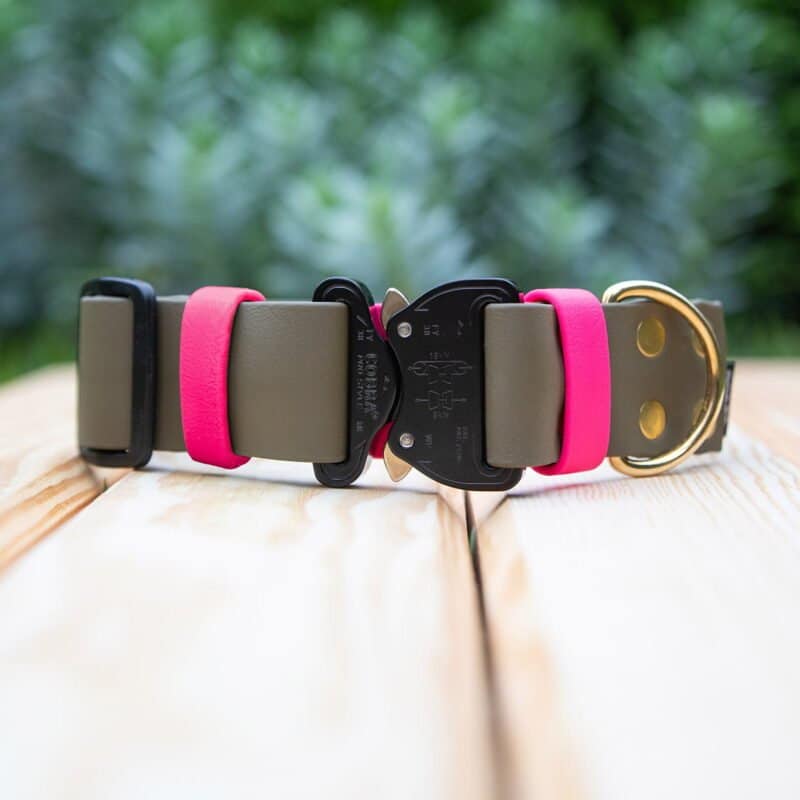 obroza-38mm-cobra-olive-fuksja-mosiezne-biothane-accdog