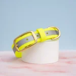 obroza-reflective-odblaskowa-neon-yellow-mosiezne-biothane-accdog-duze