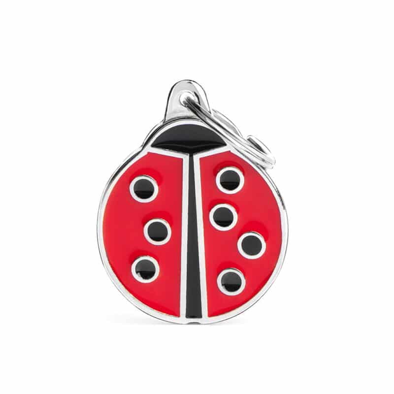 id-tag-big-ladybug3