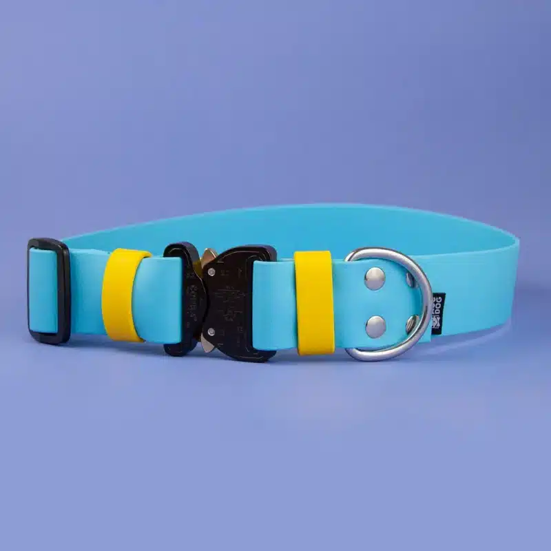 obroza-38mm-cobra-srebrne-nierdzewne-baby-blue-yellow-biothane-accdog