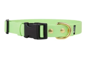 obroza-duraflex-pastel-green-mosiezne-biothane-accdog