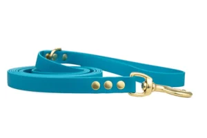 smycz-miejska-lagune-mosiezny-sprezynowy-biothane-accdog