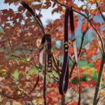 smycz-miejska-saddle-brown-mosiezny-sprezynowy-biothane-accdog