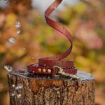 smycz-miejska-saddle-brown-mosiezny-sprezynowy-biothane-accdog-4-kopia