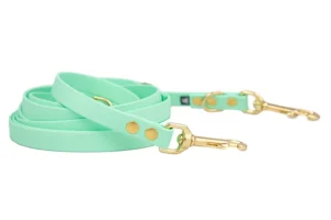 smycz-przepinana-soft-mint-mosiezne-biothane-accdog