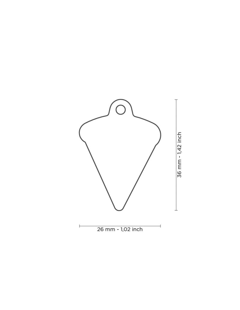 medaglietta-pizza-food4