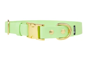 obroza-klamra-metalowa-zatrzaskowa-pastel-green-mosiezne-biothane-accdog