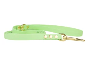 smycz-miejska-pastel-green-mosiezny-sprezynowy-biothane-accdog