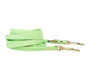 smycz-przepinana-pastel-green-mosiezny-sprezynowy-biothane-accdog