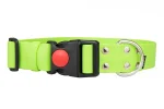 obroza-38mm-safty-click-apple-green-stal-nierdzewna-biothane-accdog-750