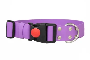 obroza-38mm-safty-click-lilac-stal-nierdzewna-biothane-accdog-750