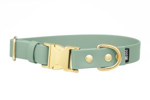 obroza-klamra-metalowa-zatrzaskowa-sage-green-mosiezna-biothane-accdog-1200