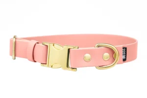 obroza-klamra-metalowa-zatrzaskowa-salamon-pink-mosiezna-biothane-accdog-750