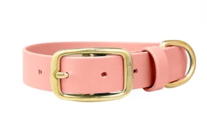 obroza-na-dziurki-metalowa-klamra-salamon-pink-mosiezne-biothane-accdog-750