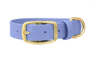 obroza-na-dziurki-metalowa-klamra-mosiezna-periwinkle-biothane-accdog