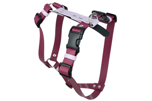 Szelki Biothane® Rainbow