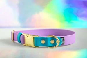 Obroża Biothane® z metalową klamrą Rainbow