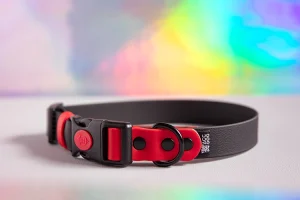 Obroża Biothane® Safety Click Rainbow