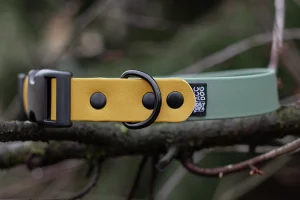 Obroża Biothane® z klamrą Duraflex® Rainbow