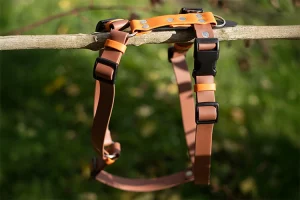 Szelki Biothane® Rainbow Chocolate